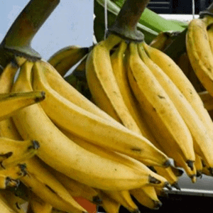 Plantain mûr ( 1 Kg)