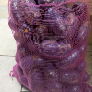 Safou (5 kg) - disponible les samedis