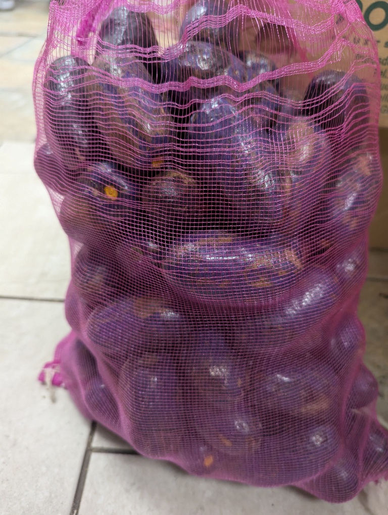 Safou (5 kg) - disponible les samedis