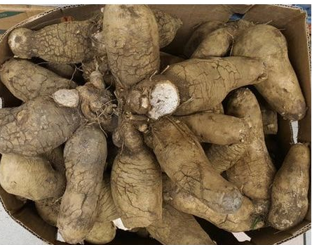 Ignames jaunes sucrées (carton de 20kg)