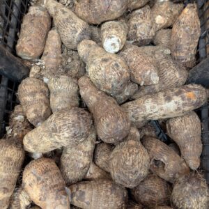 Macabo rouge ou blanc (1 kg)`