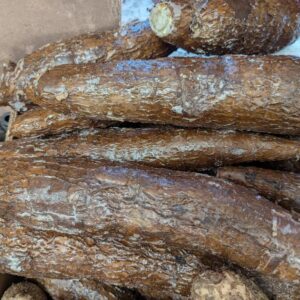Tubercule de Manioc (1 kg)