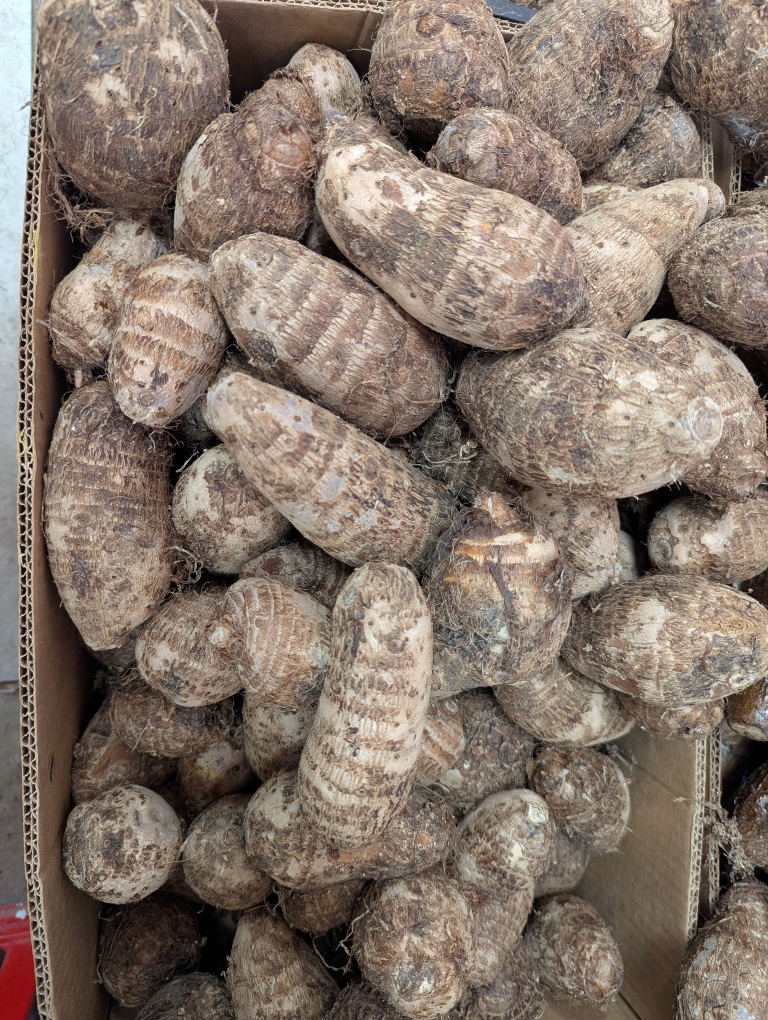 Taro (1 kg)
