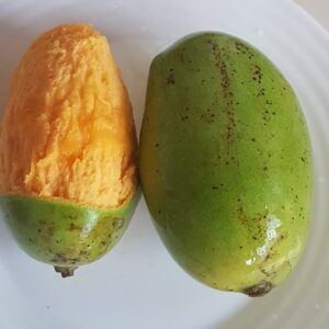 Mangues du Cameroun (1 kg)