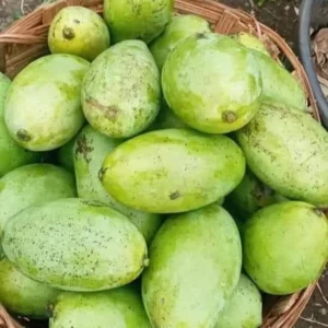 Mangues du Cameroun (sac de 5kg)